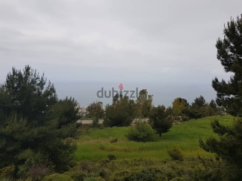 RWK119JK - Land For Sale In Safra  - أرض للبيع في الصفرا 1