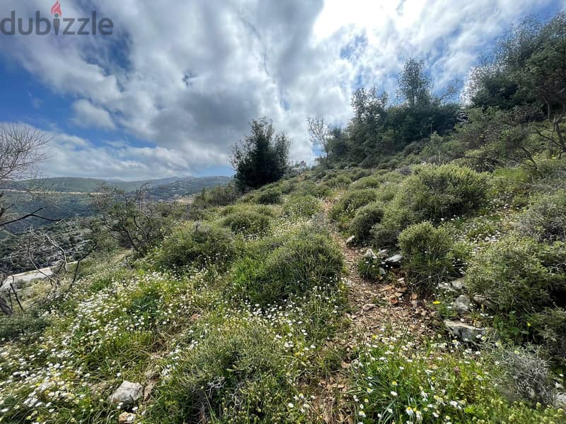 RWB155CA - Land for sale in Lehfed Jbeil 2