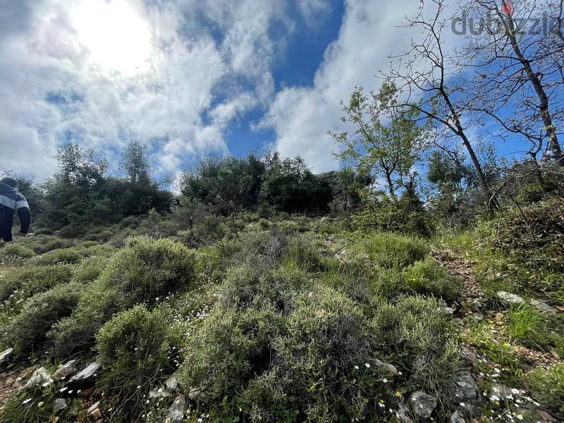 RWB155CA - Land for sale in Lehfed Jbeil 3