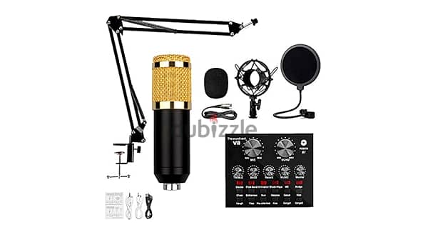 Professional Recording Microphone 1