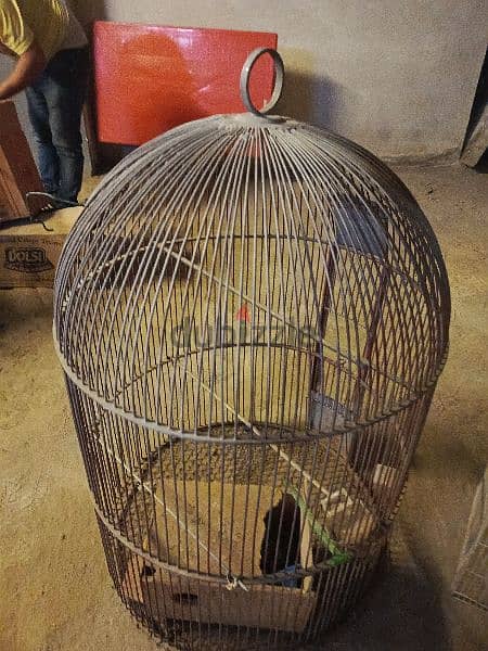 birds cage about 150 cm 1