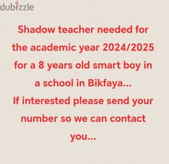 Shadow teacher