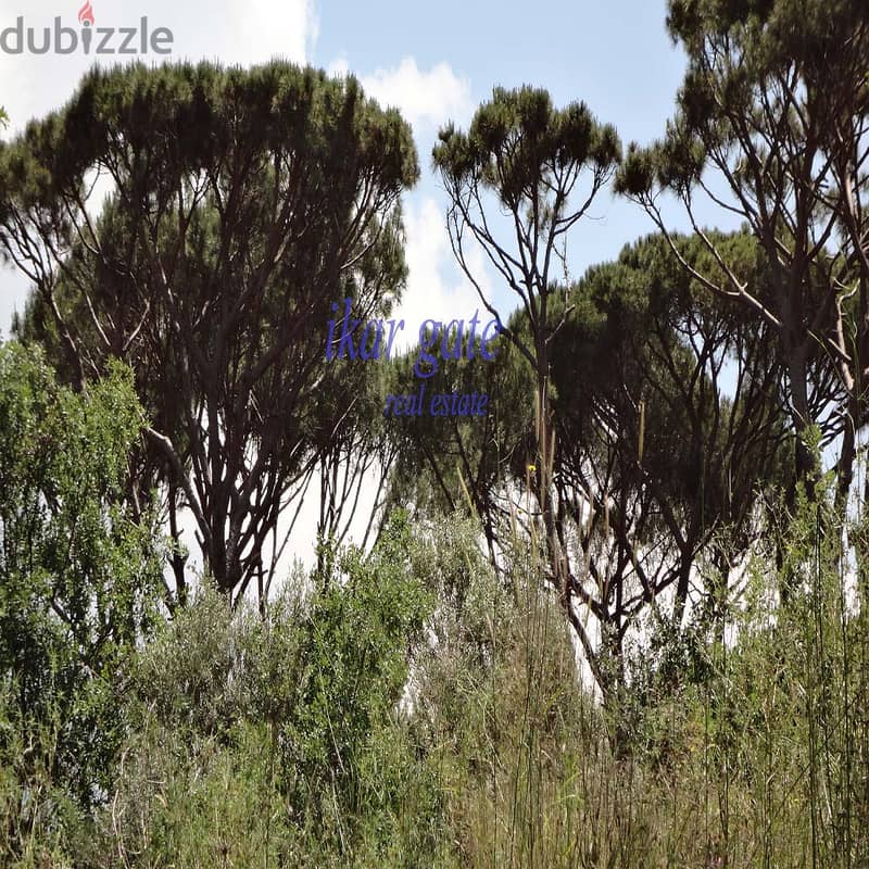 land for sale in baabdat kenabe 4