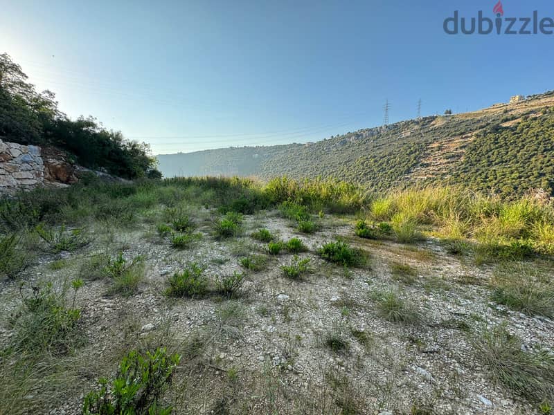 RWB303MT - Land for sale in Haqel Jbeil in a prime location 4
