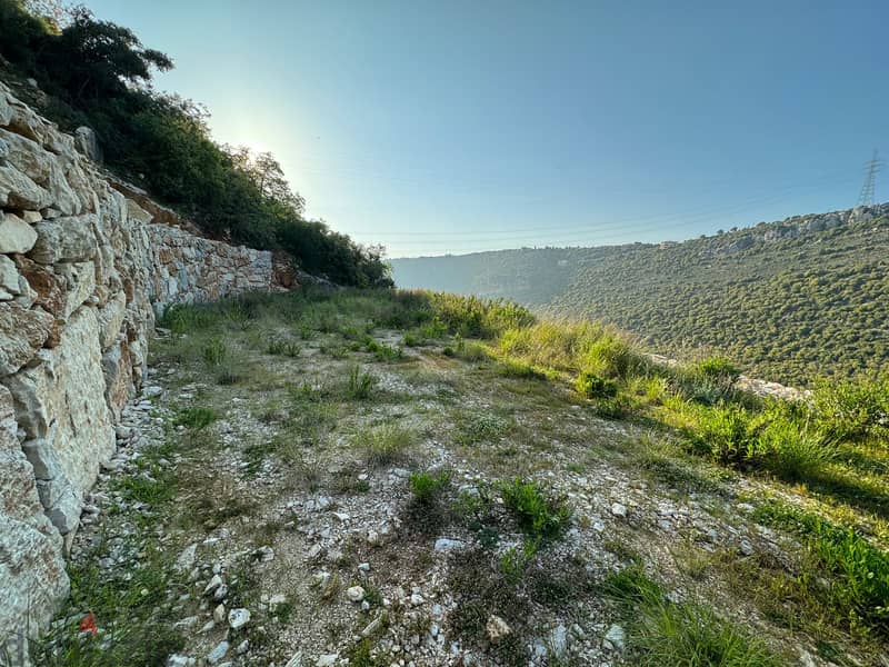 RWB303MT - Land for sale in Haqel Jbeil in a prime location 6