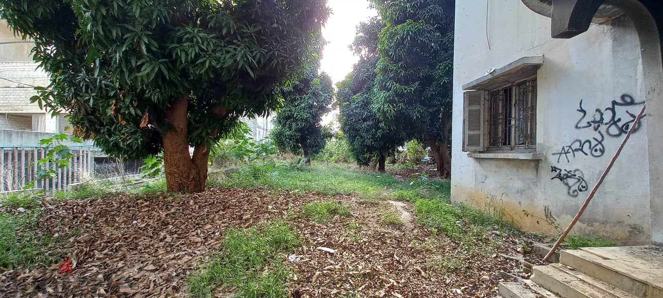 Old Villa for investment in Jal el Dib for rentفيلا قديمة للاستثمار 5