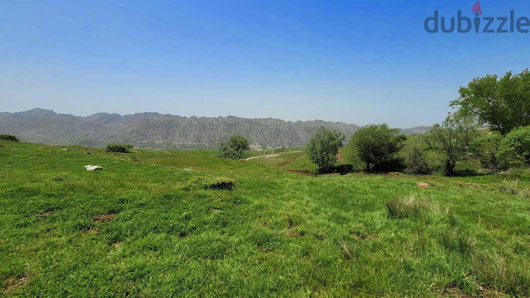 magnificent flat land Laqlouq - Jbeil/اللقلوق - جبيل REF#JE106144 1