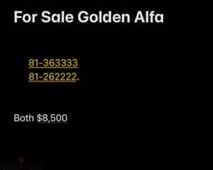 twin golden numbers for sale