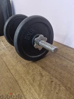 10 kg dumbell with axe