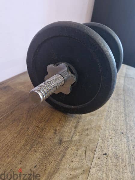 10 kg dumbell with axe 1