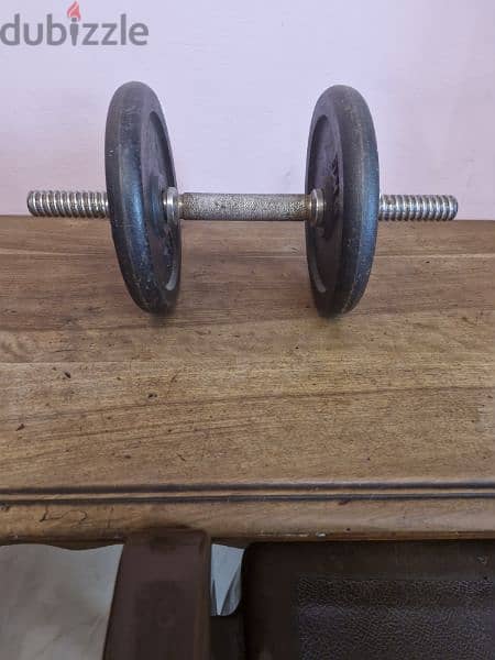 10 kg dumbell with axe 2