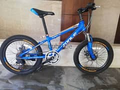 zonle bike