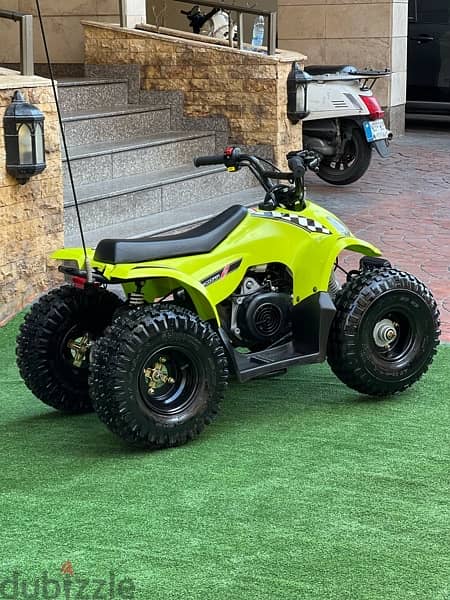 Ram S cooper mini atv 3