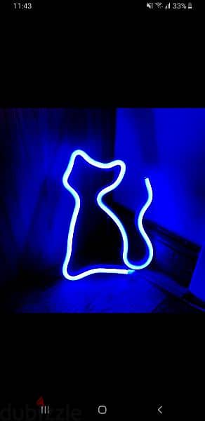 Neon signs (batteries or USB) 5