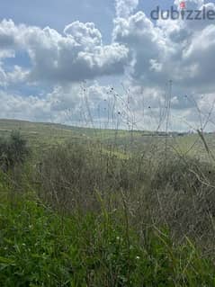 ارض مميزة للبيع عرب صليم النبطية Land for sale in Arab Salim, Nabatieh