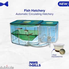 automatic circulating fish hatchery //delivery all over Lebanon