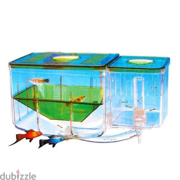 automatic circulating fish hatchery //delivery all over Lebanon 1