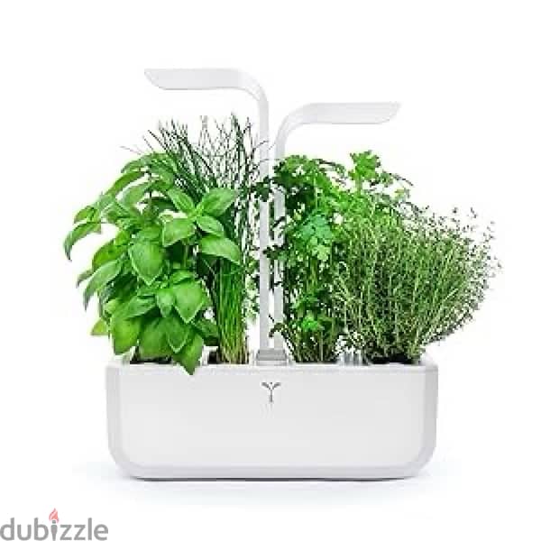 Genuine CLASSIC Vegetable Garden - Indoor Garden Made in France 2