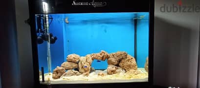Marine Aquarium with sump and skimmer