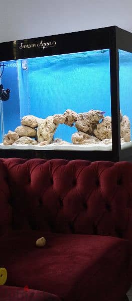 Marine Aquarium with sump and skimmer 1