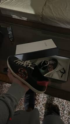 Gucci snake authentic size 44