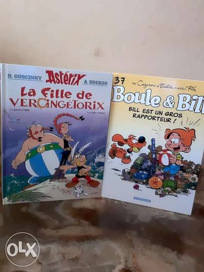 ASTERIX&Boule