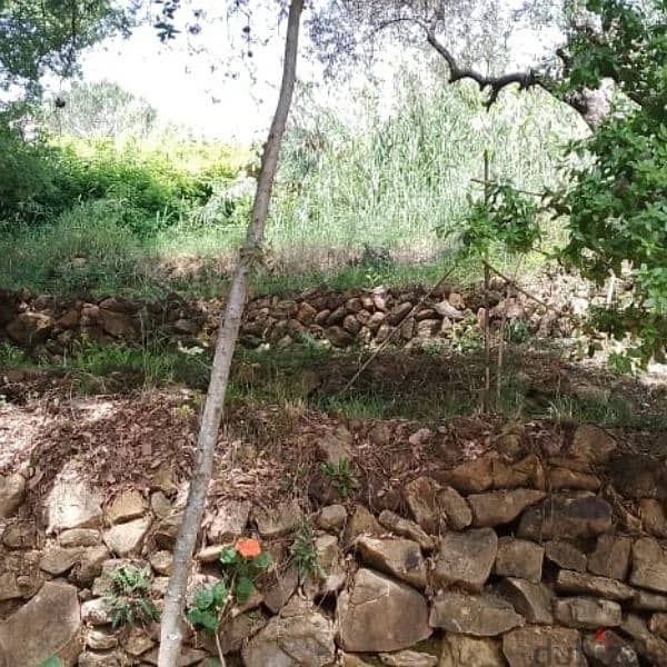 Broumana Land for sale (ouyoun) ارض للبيع في برمانا العيون 1