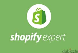 A Shopify Meta Expert. E-Commerce 0