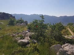 Laqlouq Land For Sale
