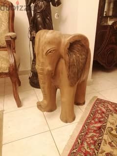 african elephant wood