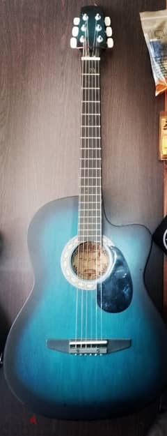 Carl schnider acoustic guitar