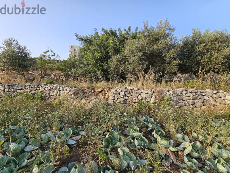 RWB149MT - Land for sale in Blat Jbeil 2