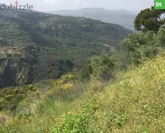 Land for Sale in Aaray - Jezzine/عاراي - جزين REF#DI106464