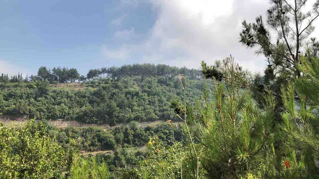 Land In Maysraah For Sale | Amazing Open View | أرض للبيع | PLS 26028 1