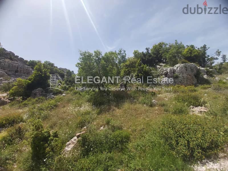 Amazing Land | Negotiable 0