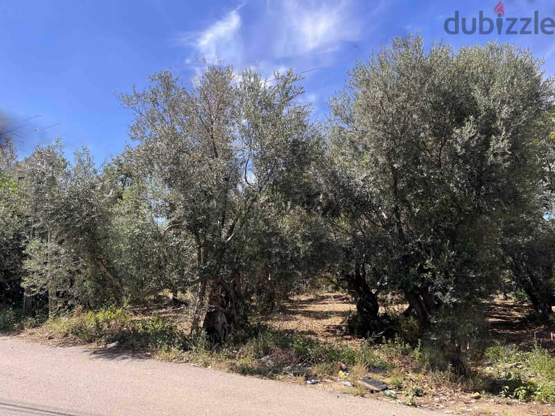 Land In Batroun For Sale | Amazing Surrounding | أرض للبيع | PLS 26030 2