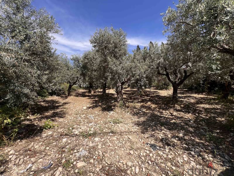 Land In Batroun For Sale | Amazing Surrounding | أرض للبيع | PLS 26030 3