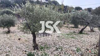 L15313-Land Surrounded By Nature for Sale in Jrebta