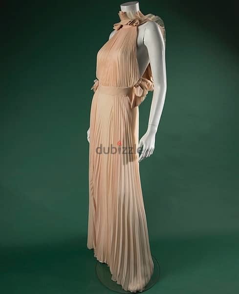 Elizabetta franchi Evening dress 2