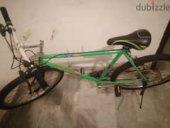 bike green size 26