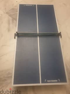 small and portable ping pong table world champion,66cm×33cm