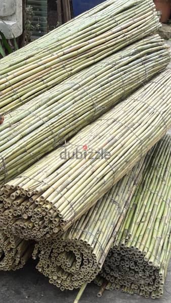 قصب للخيم و للزينة في بيروت)bamboo rolls in beirut 6