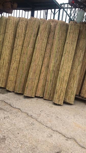 قصب للخيم و للزينة في بيروت)bamboo rolls in beirut 9