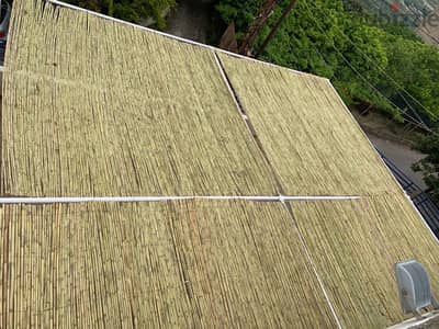 قصب للخيم و للزينة في بيروت)bamboo rolls in beirut