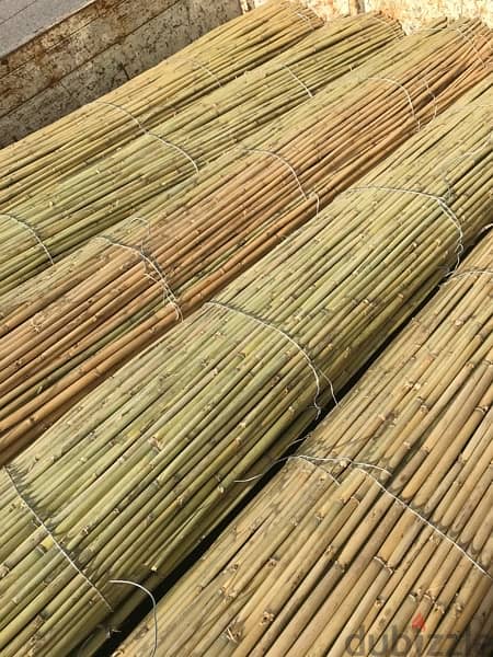 قصب للخيم و للزينة في بيروت)bamboo rolls in beirut 11