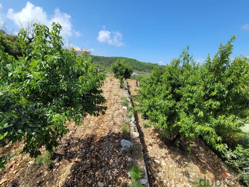 RWB116GH - Land For Sale in Bentael Jbeil With Sea and Mountains view 1