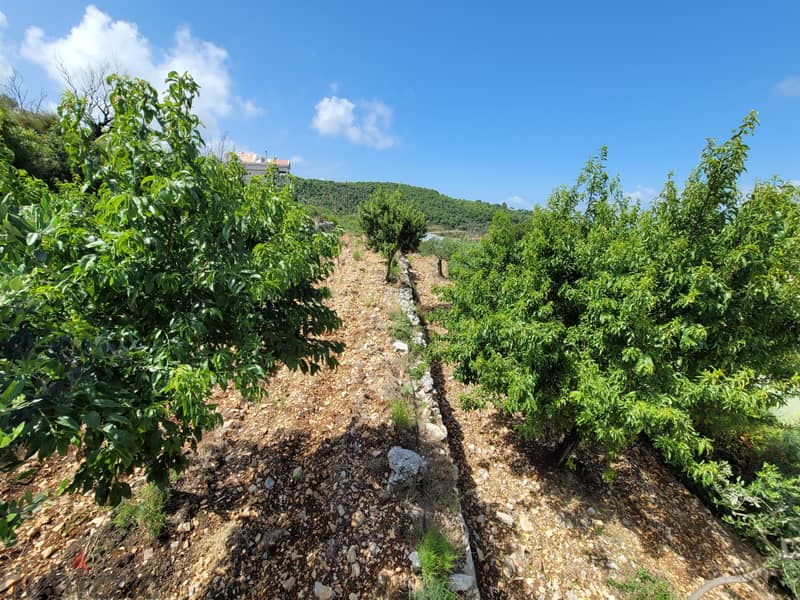 RWB117GH - Land For Sale in Bentael Jbeil With Sea and Mountains view 1