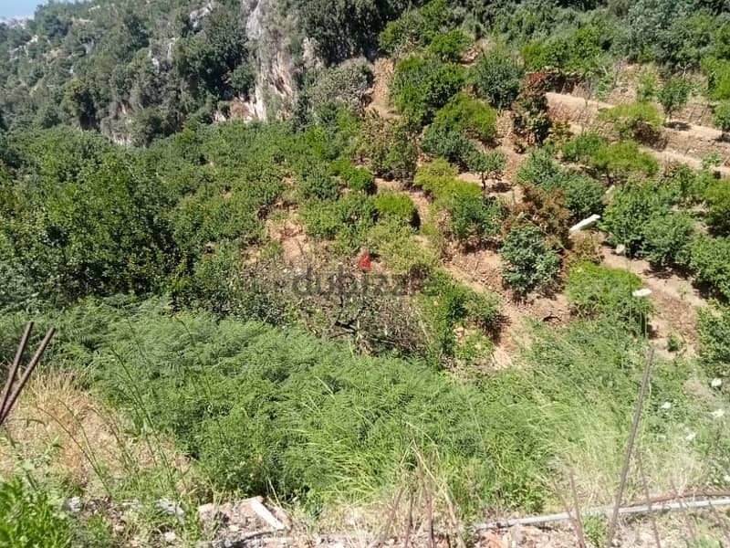 1190 Sqm | Easy To Build Land For Sale In Nabay | Mountain & Sea View 3