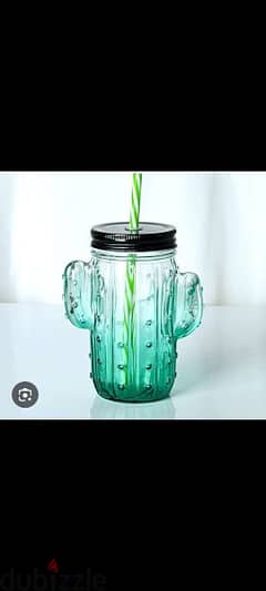 cactus lovers glass jug with straw