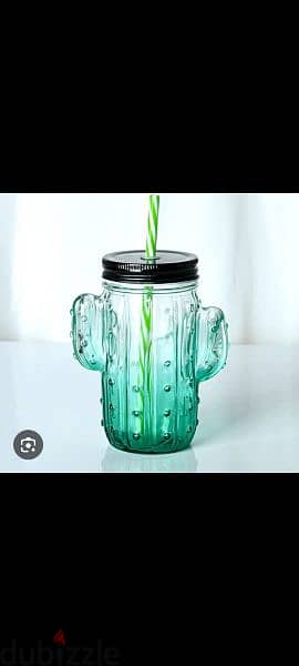 cactus lovers glass jug with straw 0